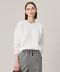 ICB（LARGE SIZE）/【WEB限定カラーあり・洗える】コットンポリエステルスムース  ニットプルオーバー/507920676