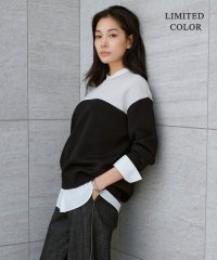 ICB（LARGE SIZE）/【WEB限定カラーあり・洗える】コットンポリエステルスムース  ニットプルオーバー/507920676