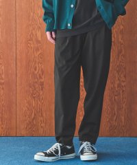 green label relaxing/ウォッシャブルトロ 2プリーツ 9分丈 ユーティリティパンツ W1 －ストレッチ・防シワ－/507893142