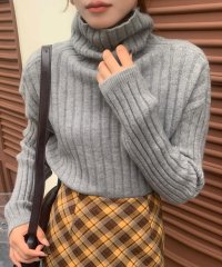 Grandeir/グランディール Grandeir クロップド丈タートルネックリブニット/507924272