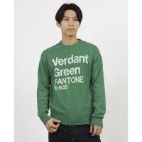 UNITED COLORS OF BENETTON/ユナイテッド カラーズ オブ ベネトン UNITED COLORS OF BENETTON. クルーネックデザインニット・セーター/507932407