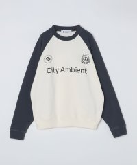 SHIPS MEN/City Ambient Products: ラグランスリーブ プリント スウェット/507934526
