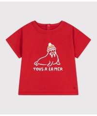 PETIT BATEAU/半袖Ｔシャツ/507948717
