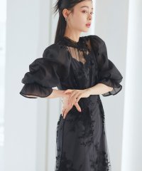 RUIRUE BOUTIQUE/ルイルエブティック RUIRUE BOUTIQUE チュール刺繍切り替えタックワンピースドレス/507895122