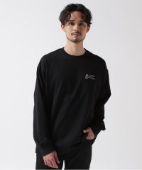 RoyalFlash/DENHAM/デンハム/CHAIN LS TEE/507955097
