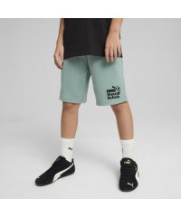 PUMA/ボーイズ ミッド90S ロング ショーツ TR B 120－160cm/507955713