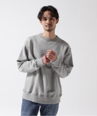 RoyalFlash/DENHAM/デンハム/PRM LOOP SWEAT/507955099