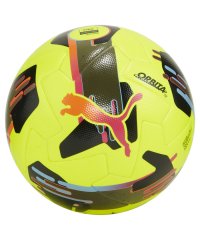PUMA/ユニセックス プーマ オービタ 1 TB サッカーボール FIFA QUALITY/506986278