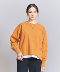 BEAUTY&YOUTH UNITED ARROWS/【WEB限定】ピグメント スウェットプルオーバー/507937297