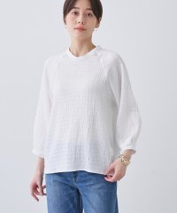 INDIVI/【洗える】シャーリング風ラグランスリーブブラウス/507959500