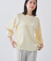 INDIVI/【洗える】シャーリング風ラグランスリーブブラウス/507959500