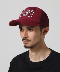 AVIREX/ＤＰ　ＡＩＲ　ＦＯＲＣＥ　ＣＡＮＶＡＳ　ＭＥＳＨ　ＣＡＰ/507966587