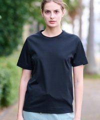 DRESSTERIOR/【接触冷感/抗菌防臭/消臭】アイスクリアコットンTシャツ/507970842
