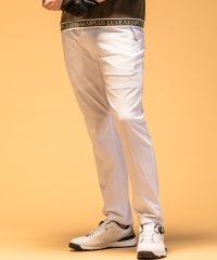 LUXEAKMPLUS/リュクスエイケイエムプラス LUXEAKMPLUS ローレルパターンロングパンツ/507978694