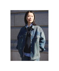 Levi's/JAPAN LIMITED XL TRUCKER JACKET/507986343