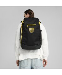 PUMA/ユニセックス バスケットボール プロ バックパック 38L/505494024