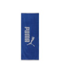 PUMA/ユニセックス トレーニング ボックスタオル N2/505957266