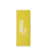 PUMA/ユニセックス トレーニング ボックスタオル N2/505957266