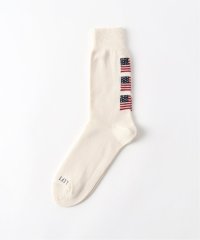 JOINT WORKS/ROSTER SOX / ロスターソックス　USA FLAG by X/508001096
