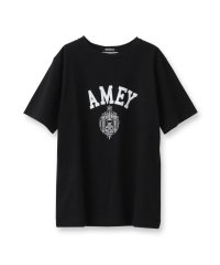 DRESSTERIOR/Americana（アメリカーナ）【別注】カレッジTシャツ/508011848