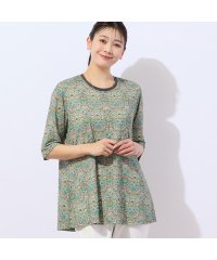 MISSEL/【洗える】V＆A いちご泥棒柄 ペプラムカットソー/508026607