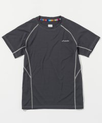 phenix/フェニックス phenix phenix OUTDOOR(フェニックスアウトドア) レディース ライン柄 クルーネック半袖Tシャツ (吸水速乾 / 通気性)/508027283