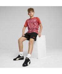 PUMA/ボーイズ TAD ESS ポリ AOP Tシャツ & ショーツ 上下セット 120－160cm/507980787