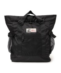 SHIPS any WOMEN/CARIBOU MOUNTAINEERING: ライト ウェイト バックパック/508031135