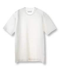 Men's Bigi/ブリスターニットジャカードカットソー/508031334