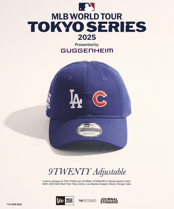 NEW ERA / ニューエラ 別注 920 LA CASHMERE ツートーン