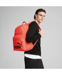 PUMA/ユニセックス プーマ フェーズ バックパック 22L/507952053