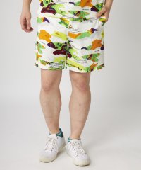 LOUDMOUTH/ラウドマウス LOUDMOUTH ショートパンツガラ/508037899