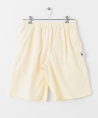 SENSE OF PLACE by URBAN RESEARCH/ddp　NYLON EASY SHORTS/508038230