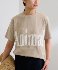 FRAMeWORK/≪予約≫STUDIO WEAREALLANIMALS 別注 Animals Le/508040300