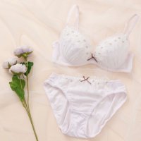 palissee/パリーゼ Palissee フルールアップリケ ブラ＆ショーツ ナイスフィットシリーズ【返品不可商品】/508040701