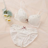 palissee/パリーゼ Palissee 【EFカップ】フルールアップリケ ブラ＆ショーツ ナイスフィットシリーズ 【返品不可商品】/508040704
