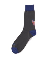 BEAVER/ROSTER SOX/ロスターソックス　SUPER M SOCKS メンズ　レディース/508043457