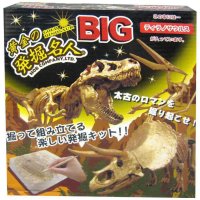 cinemacollection/シネマコレクション cinemacollection 知育玩具 黄金の発掘名人 BIG ティラノサウルス 恐竜 ノブカンパニー おもちゃ プレゼント グッズ/508046462