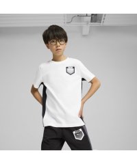 PUMA/ボーイズ アクティブ スポーツ グラフィック 半袖 Tシャツ B 120－160cm/508053438