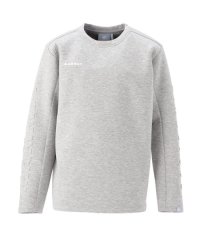MAMMUT/マムート MAMMUT MAMMUT マムート アウトドア 長袖 トップス メンズ Dyno 2．0 ML Crew Neck AF 101404/505956718