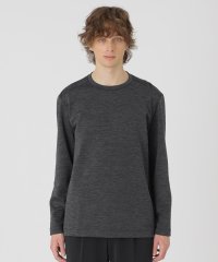 BLACK LABEL CRESTBRIDGE/メランジダンボールカットソー/507952830