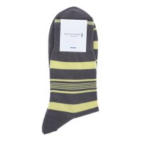 MACKINTOSH LONDON/マッキントッシュ ロンドン MACKINTOSH LONDON MLマルチボーダー22cm丈/508061656