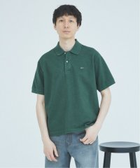 JOURNAL STANDARD/LACOSTE / ラコステ 別注 ピグメント ダイ ヘビー ピケ ポロシャツ/508066830
