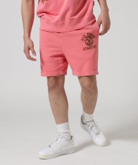 AVIREX/SWEAT SHORTS "USAFA" / スウェットショートパンツ"USAFA" / AVIREX / アヴィレックス/508067726