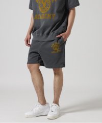 AVIREX/SWEAT SHORTS "USAFA" / スウェットショートパンツ"USAFA" / AVIREX / アヴィレックス/508067726