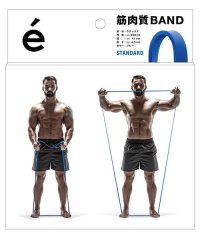erugam/筋肉質バンド　スタンダード/508062793