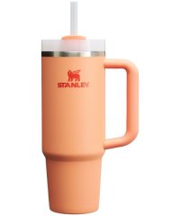 STANLEY/スタンレー STANLEY H2.0真空スリムクエンチャー 0.89L NECTARINE/508072814