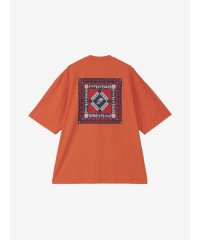 THE NORTH FACE/ザ・ノース・フェイス THE NORTH FACE S/S Retro Bandana Logo Tee (ショートスリーブレトロバンダナロゴティー)/508073175