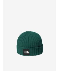 THE NORTH FACE/Kids Cappucho Lid (キッズ カプッチョリッド)/508073293