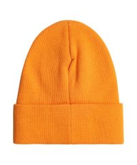 QUIKSILVER/クイックシルバー QUIKSILVER BRIGADE YOUTH BEANIE/508073300